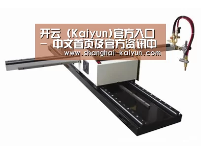 案例展示一